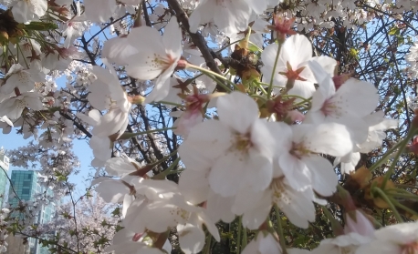 환경보호를 위해