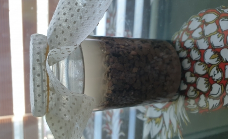 가습기 대체품 친환경 제올라이트 추천